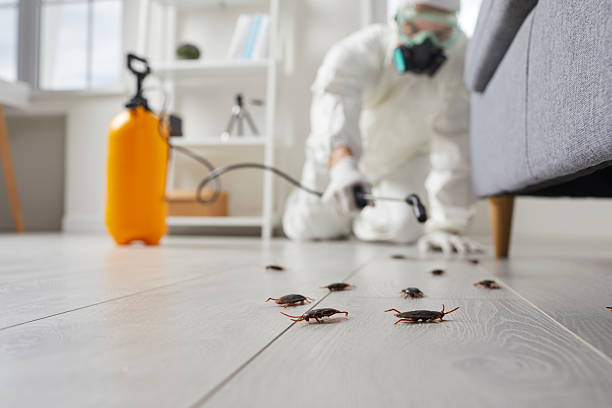 Commercial Kitchen Cockroach Control in Inkster